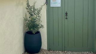 Gîte la canopée à Duras - Piscine - Foto 2