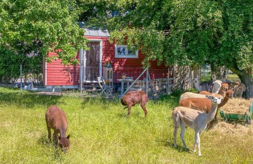 Tiny House auf der Alpaka Farm - Foto 10