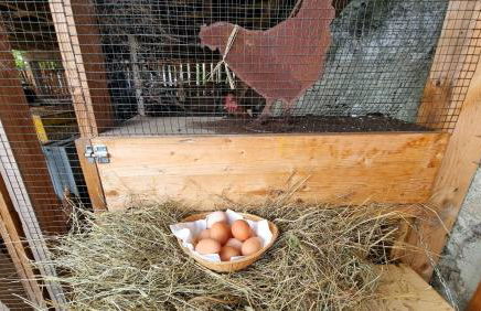 Appartements Schusterhof - Foto 64