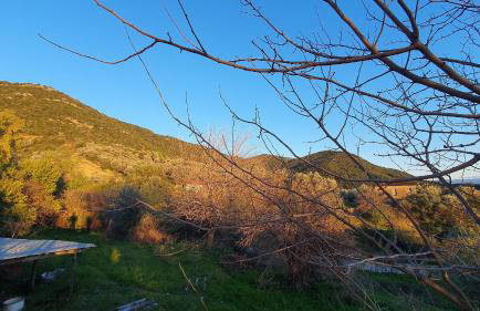 Best House, Green Home, Elaiofyto Village, Agrinio, Aitoloakarnania - Foto 32