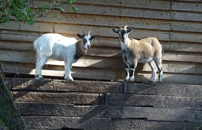Les Gîtes de Petrocoriis - Foto 69