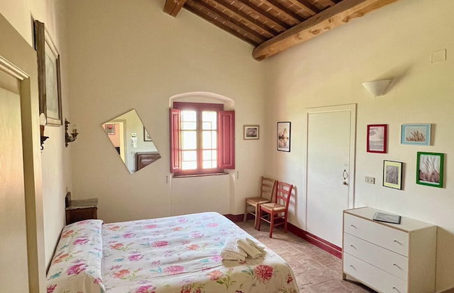 Fattoria Podere i Luoghi - Foto 17