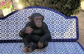 Design Seascape apartment - Foto 43