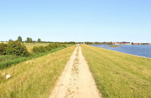 Feriengut Neuhof - Foto 49