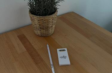 Włostowicka Ostoja Apartament - Foto 31