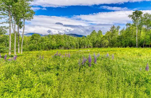 Eaglet Log Home - Foto 6