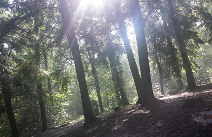 NEW Tendaka Stylish Hideaway - Photo 18