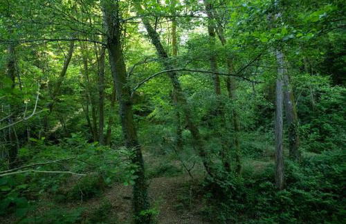 Mulino di Castelvecchio - Foto 48