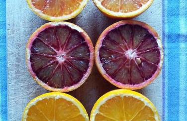 Panoramico, in villa, grande, con ampie terrazze - Foto 43