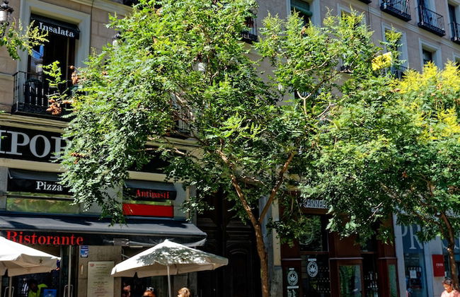 Arenal Suites Preciados - Foto 55