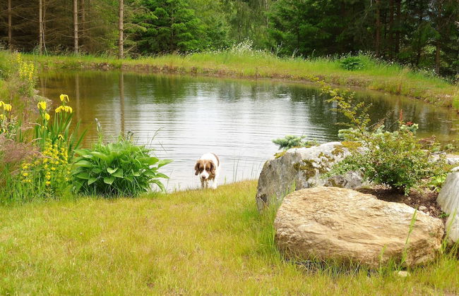 Torran View - Foto 36