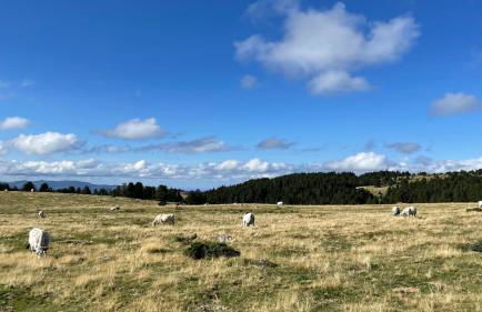 Les Années - Maison de famille - Plateau de Beille - Foto 39