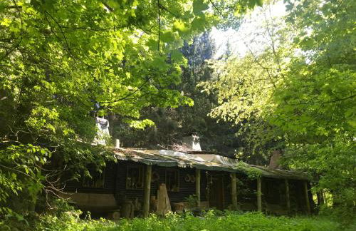 Das wilde Auwaldhaus - Foto 2