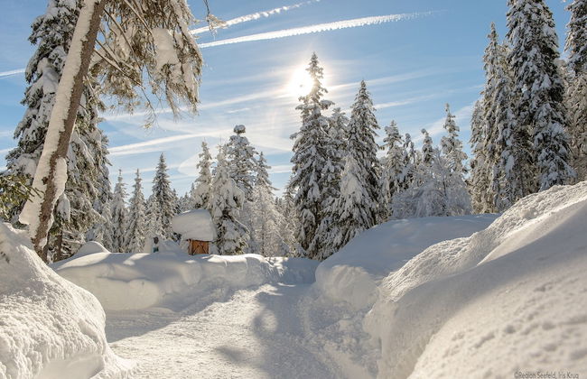 Sissi s green Chalets - Foto 57