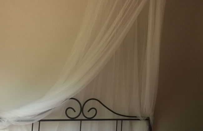 Podere San Lorenzo - Foto 3