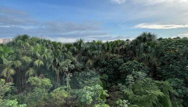 Conforto e natureza - Foto 4