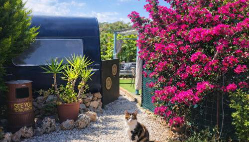 dream tiny house & luxury tent - Foto 4