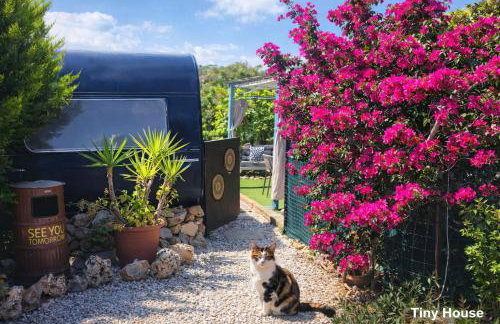 dream tiny house & luxury tent - Foto 4