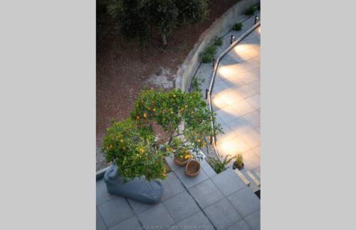 Orange Tree - Foto 39