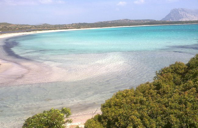 SVS - Lu Impostu Villa e Apartments - Foto 39