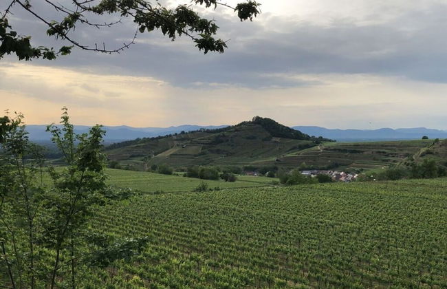 Holiday Apartment Kromer - Foto 4