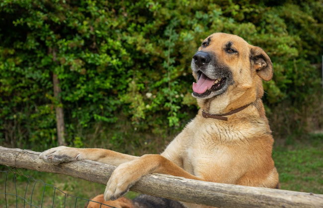 Country House Villa Nigro - Foto 32