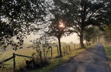 Ferienwohnung Mia - Foto 43
