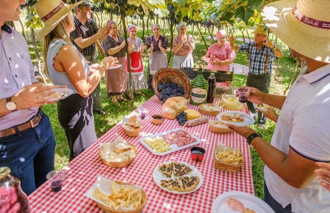 Visita di mezza giornata di un'azienda vinicola - Foto 6