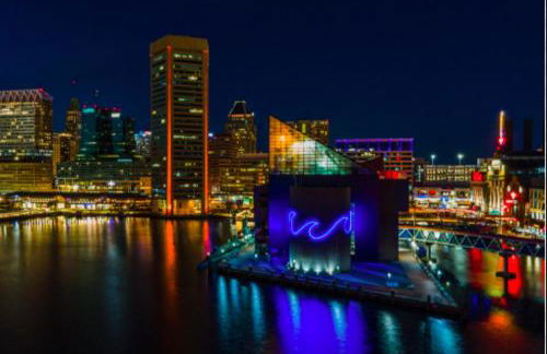 Charming Townhome in Federal Hill - Photo 24