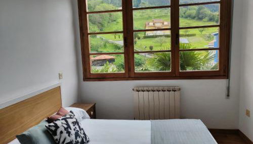 Pimo Plus La pola - Foto 5