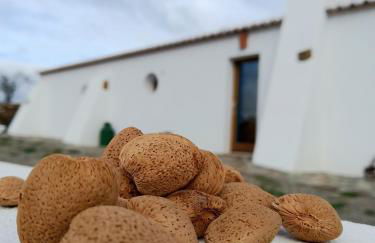 Natur Amêndoa - Foto 66