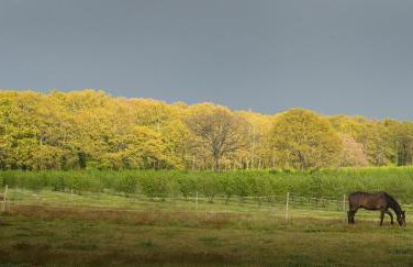 Agriturismo il Poggio - Foto 41