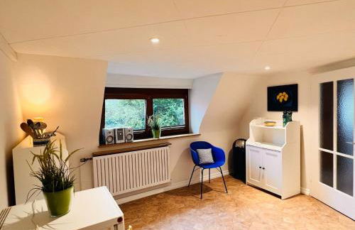 Fewo Sophie - Wlan, Küche, TV, WaMa, Haustiere auf Anfrage - Foto 11