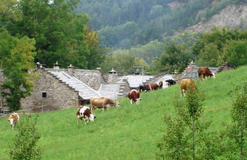 Residence Cimone SuperSci Polle-life - Foto 62