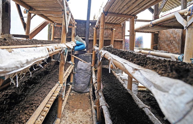 OYO Homes 91006 Eco Tourism Desa Cibodas Areng 5 Syariah - Photo 49