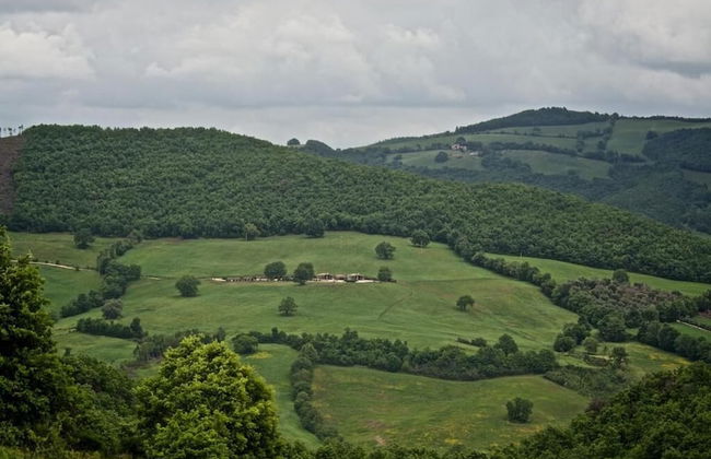 Poggio Al Vento - Photo 17
