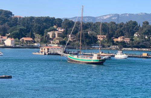 Studio calme 4 personnes 400 m de la plage sur la presqu'île de St mandrier proche toulon - Foto 24