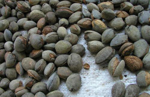 LA TERRAZZA DI PUGLIA - Foto 52