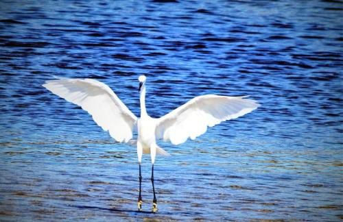 CozyHome - Cabanas - Photo 53