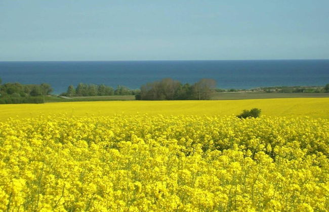 Elegant Mansion in Bastorf near Sea - Foto 36