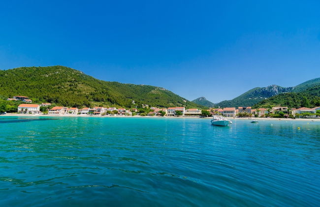 Apartments Dalmatin - Foto 35