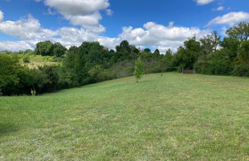 The Lion House - Foto 76