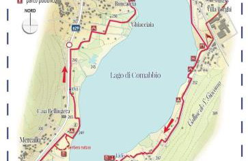 Lake House - Foto 17