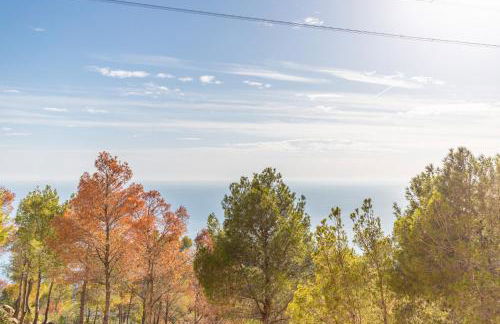 Macondo Altea Hills - Photo 38