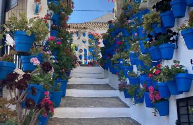 Dehesilla Olive Orchard Retreat - Foto 45