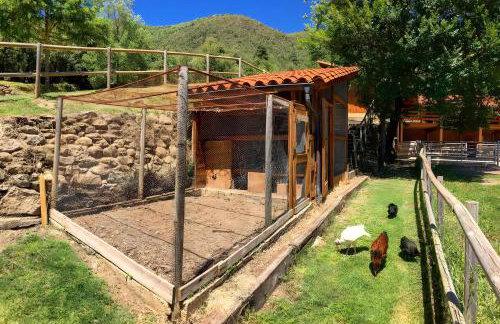 La Coma d'en Roca - Foto 32