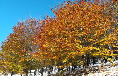 Lupus in fabula - Photo 24