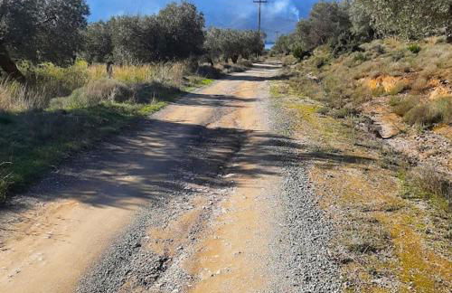 Little Bit Of Heaven - Photo 21