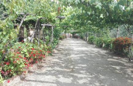 Agriturismo Casa del Contadino - Photo 67