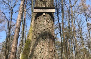 Hen-Coop Inn Appartement mit zwei Schlafzimmern & Netflix - Photo 32